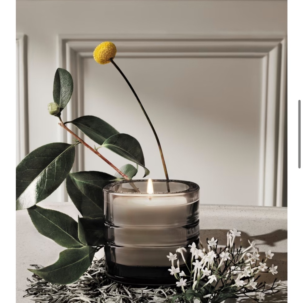 LA VALLÉE DU TEMPS (VALLEY OF TIME)
Refillable Candle